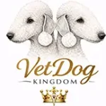 Bedlington Terrier